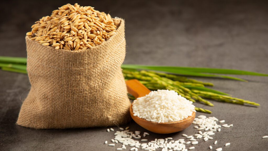 All You Need to Know About Fortified Rice Kernels (FRKs)- Fare Labs