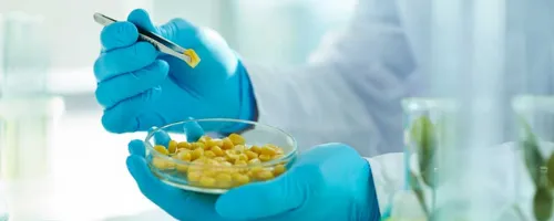 Cereals, Pulses & Cereal Products Testing at Fare Labs